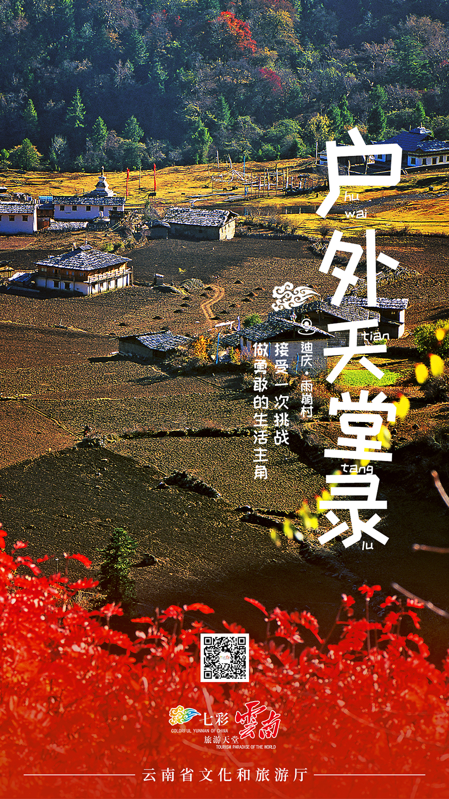 新华网云南频道