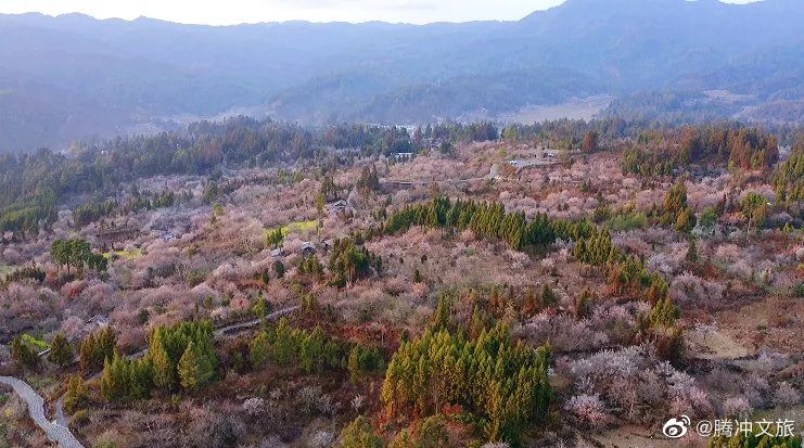 腾冲文旅微博