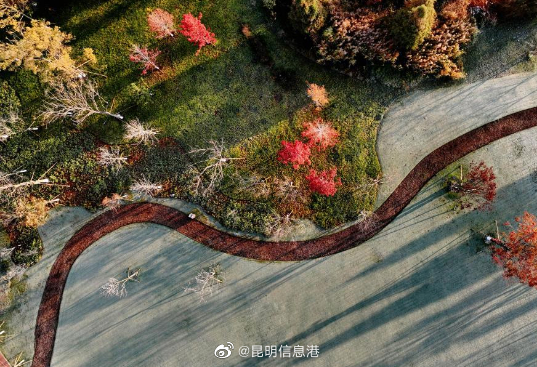 昆明信息港（微博）