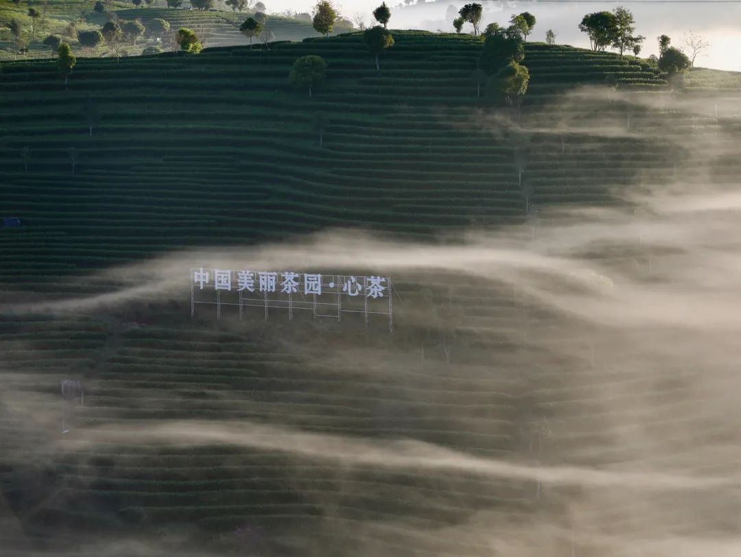 普洱日报