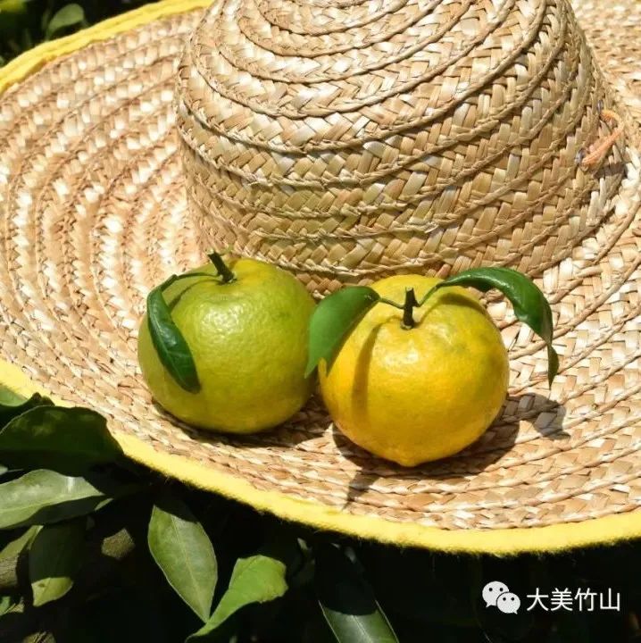 宜良之窗