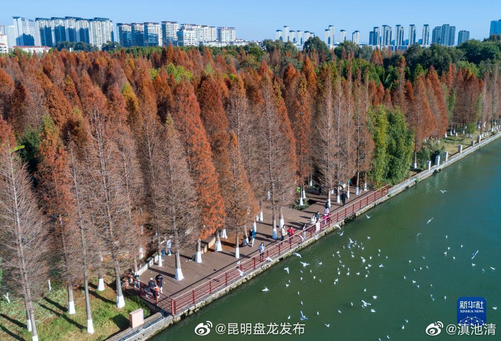 昆明盘龙发布