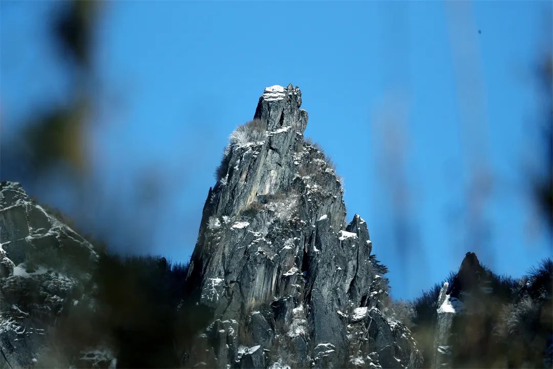 保山新闻网