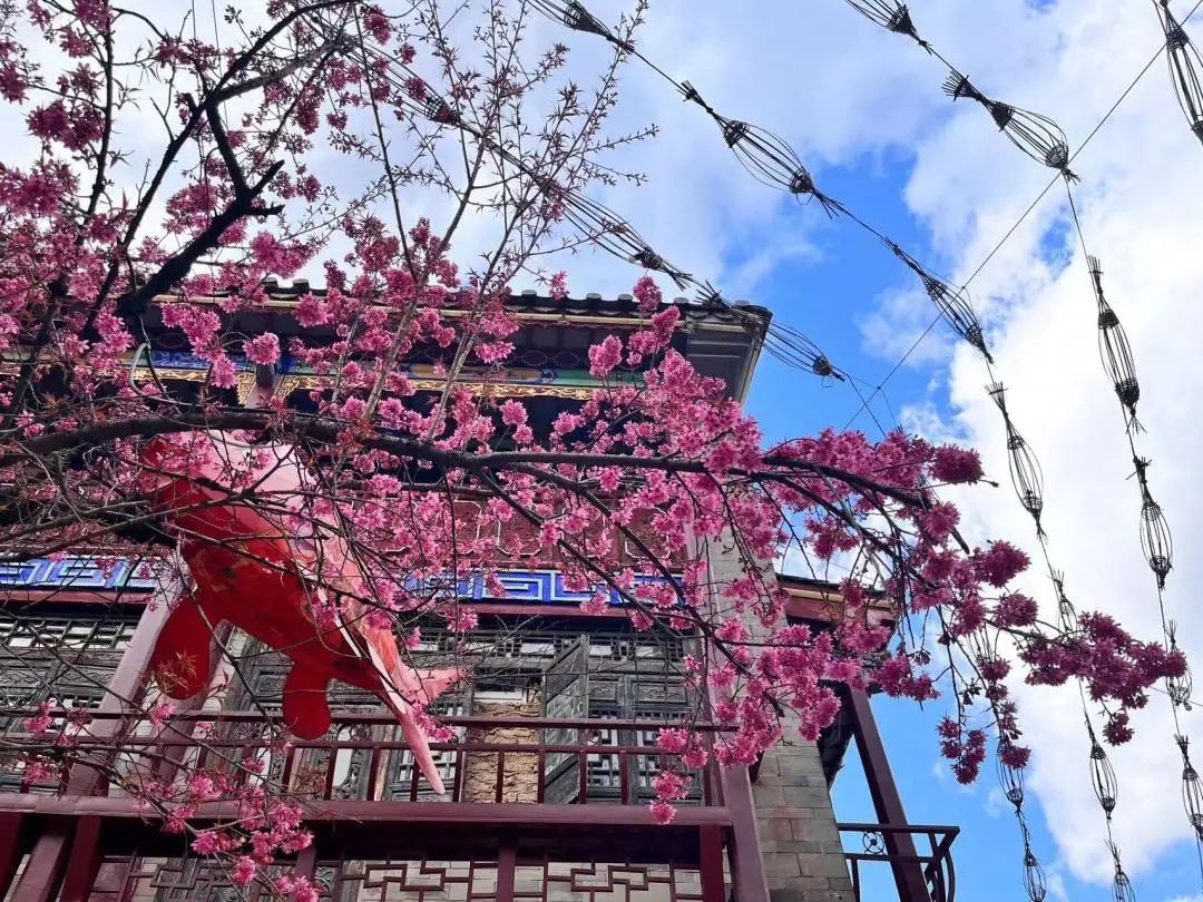 唯美官渡