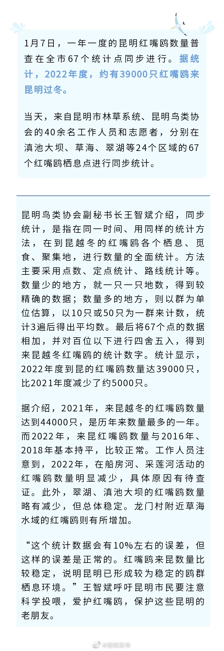 帮你们数了，2022年来昆“度假”的红嘴鸥有3.9万只