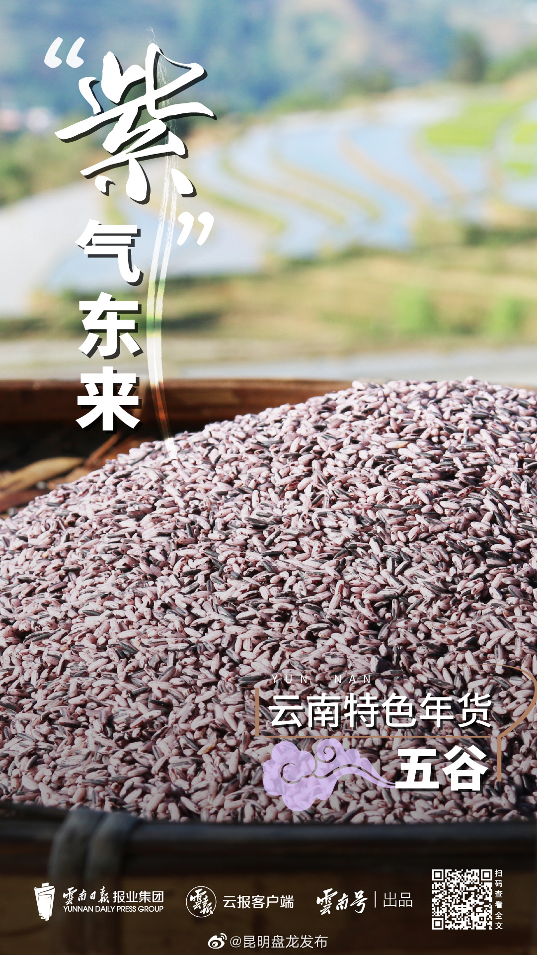 昆明盘龙发布