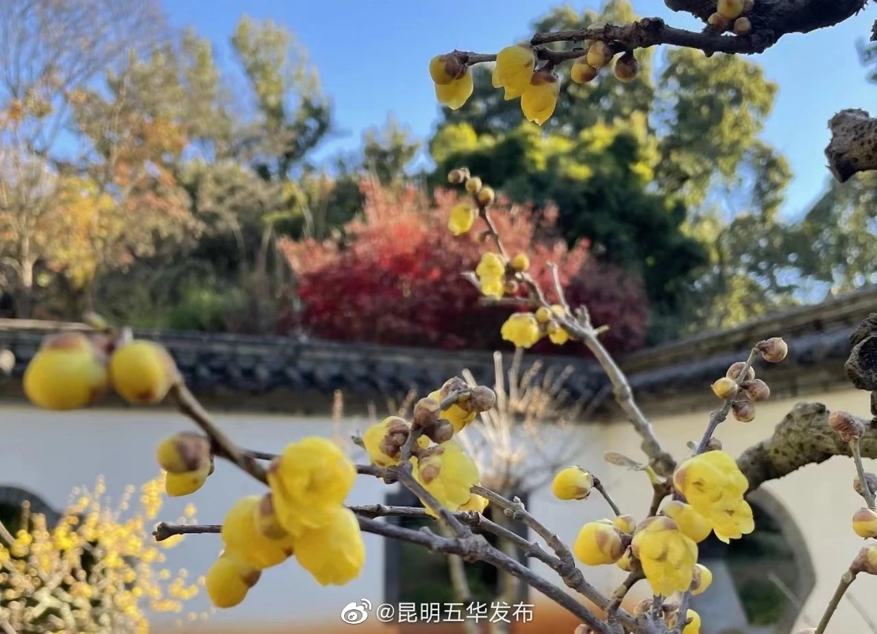 昆明五华发布