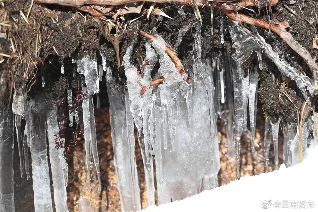 “云南发布”微博