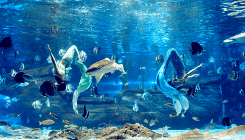 昆明市文化和旅游局