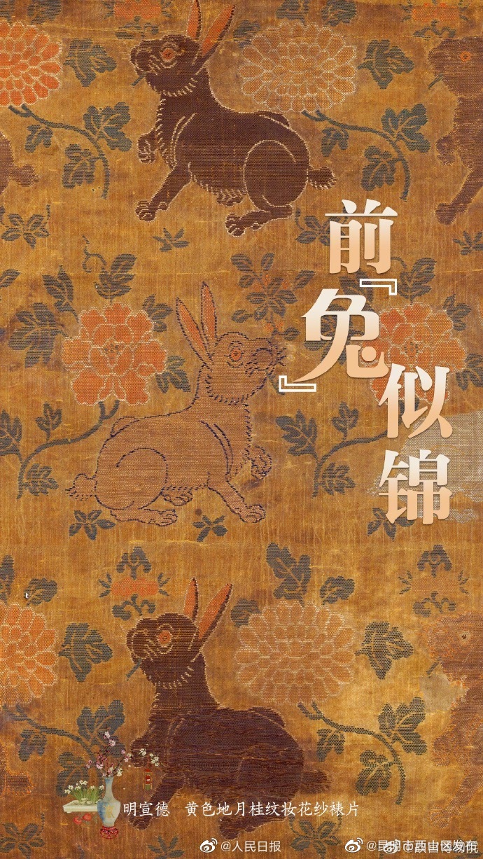 昆明市西山区发布