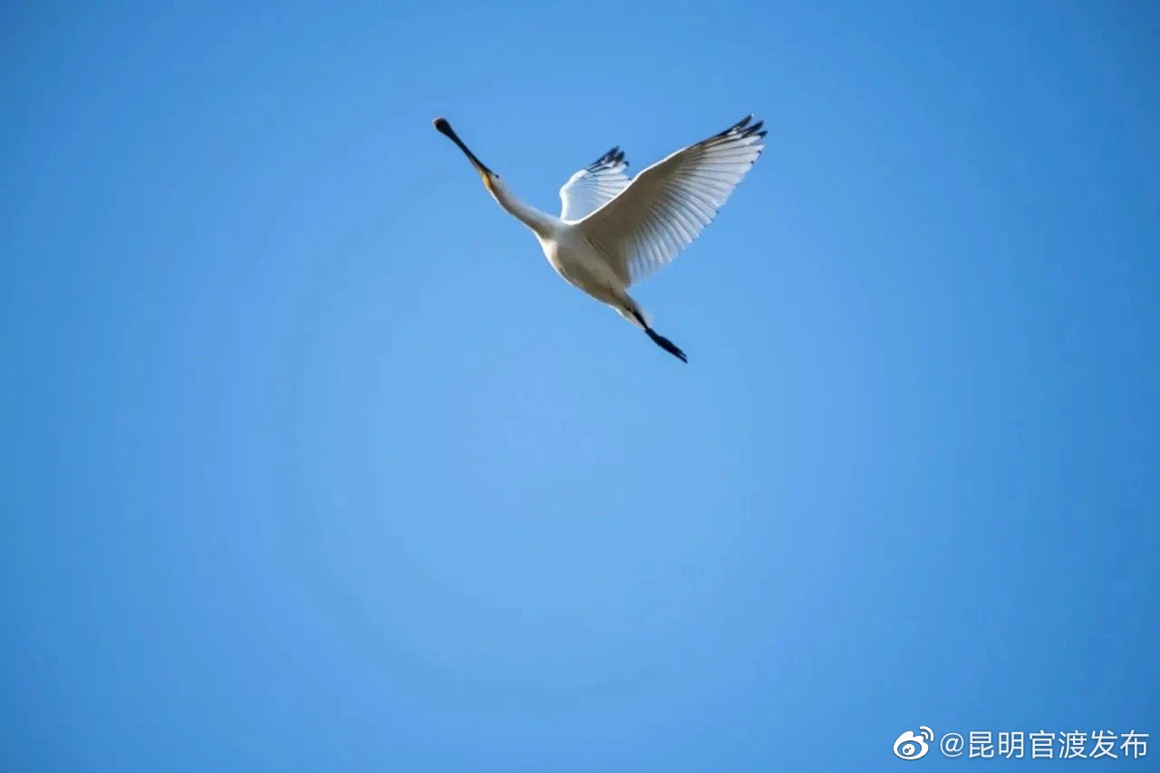 “昆明官渡发布”微博