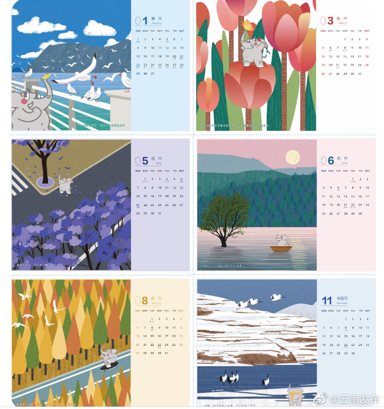 新年第一天，小布来送福利啦！