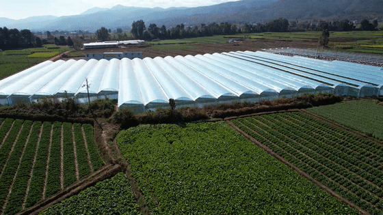 “昆明官渡发布”微博