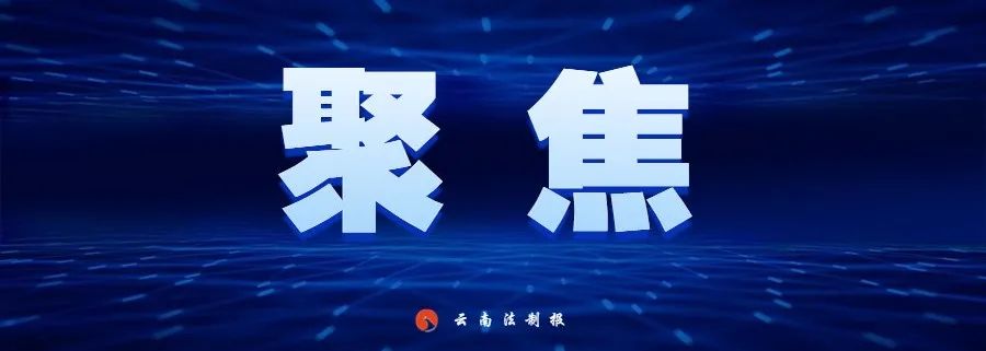 云南法制报