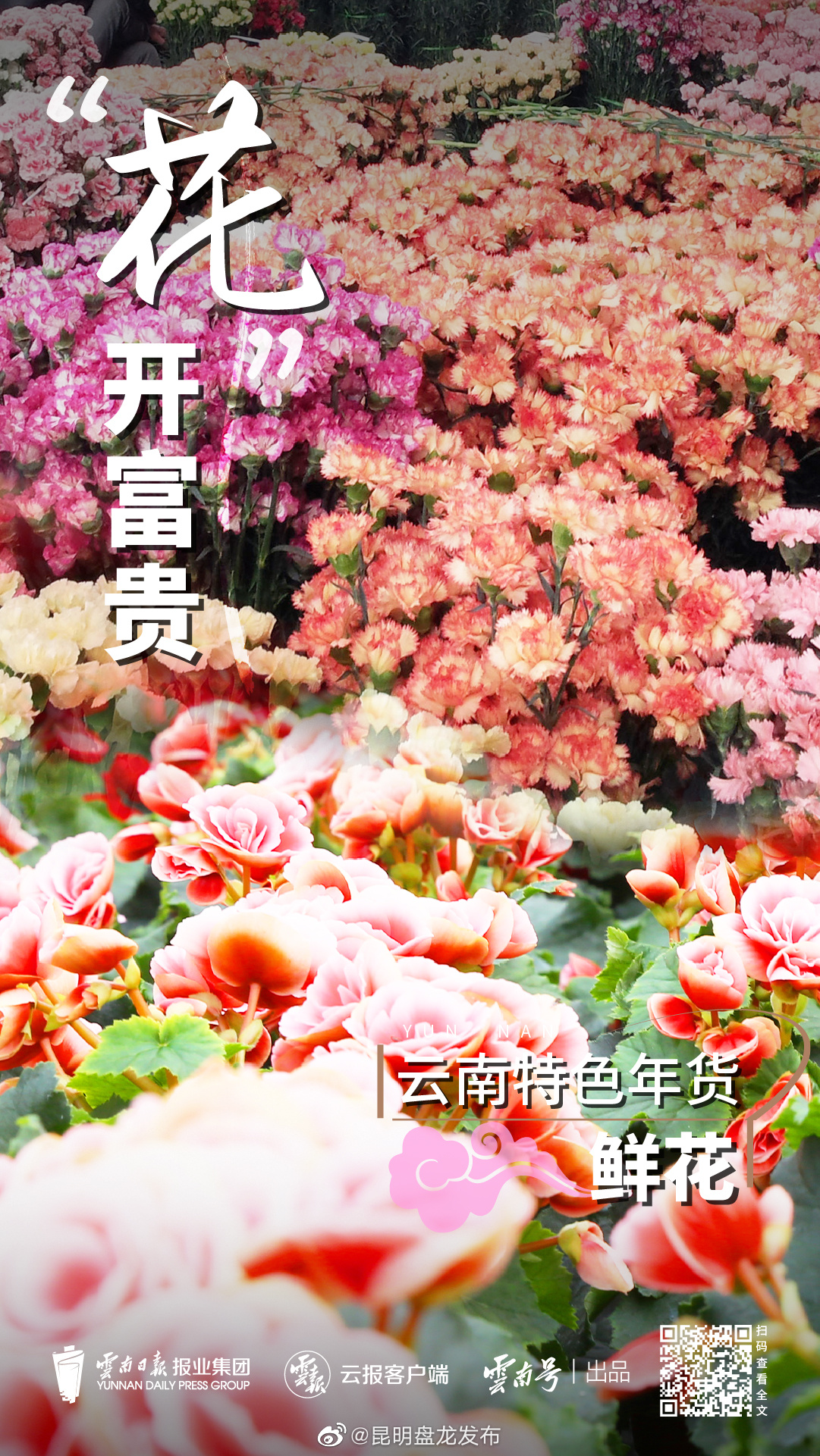 昆明盘龙发布