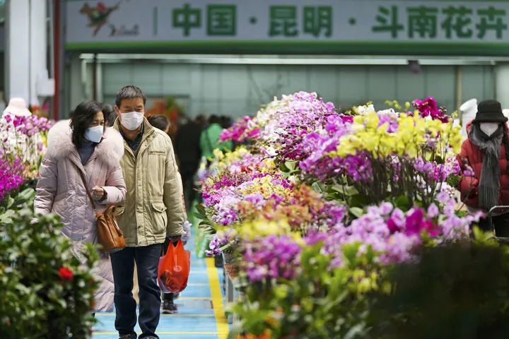 昆明市农业农村局