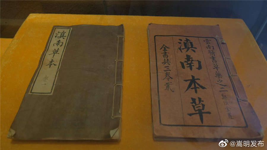 厚积薄发著本草