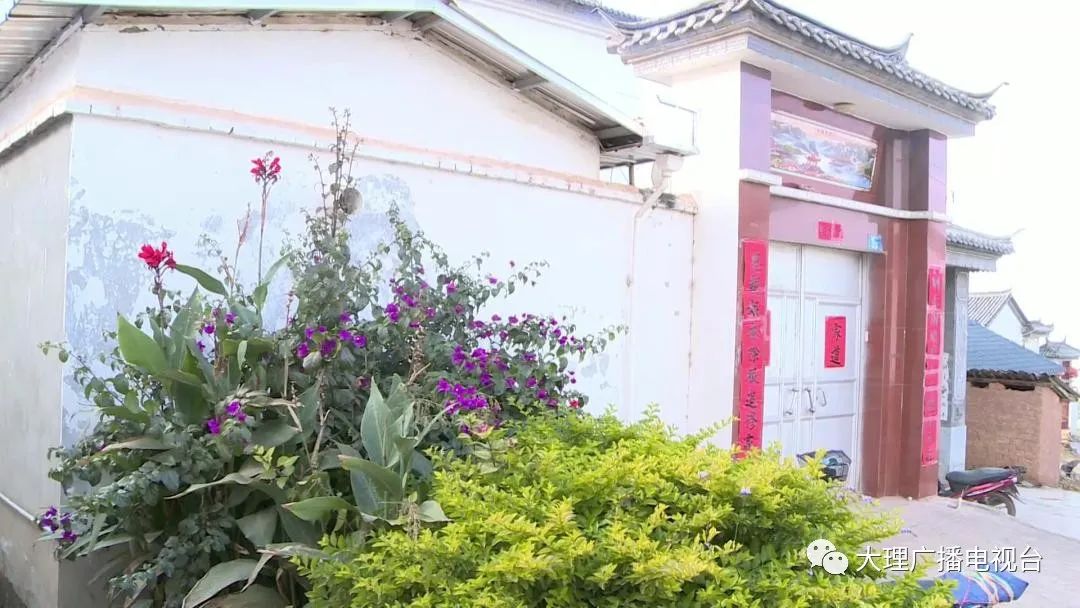 大理电视台