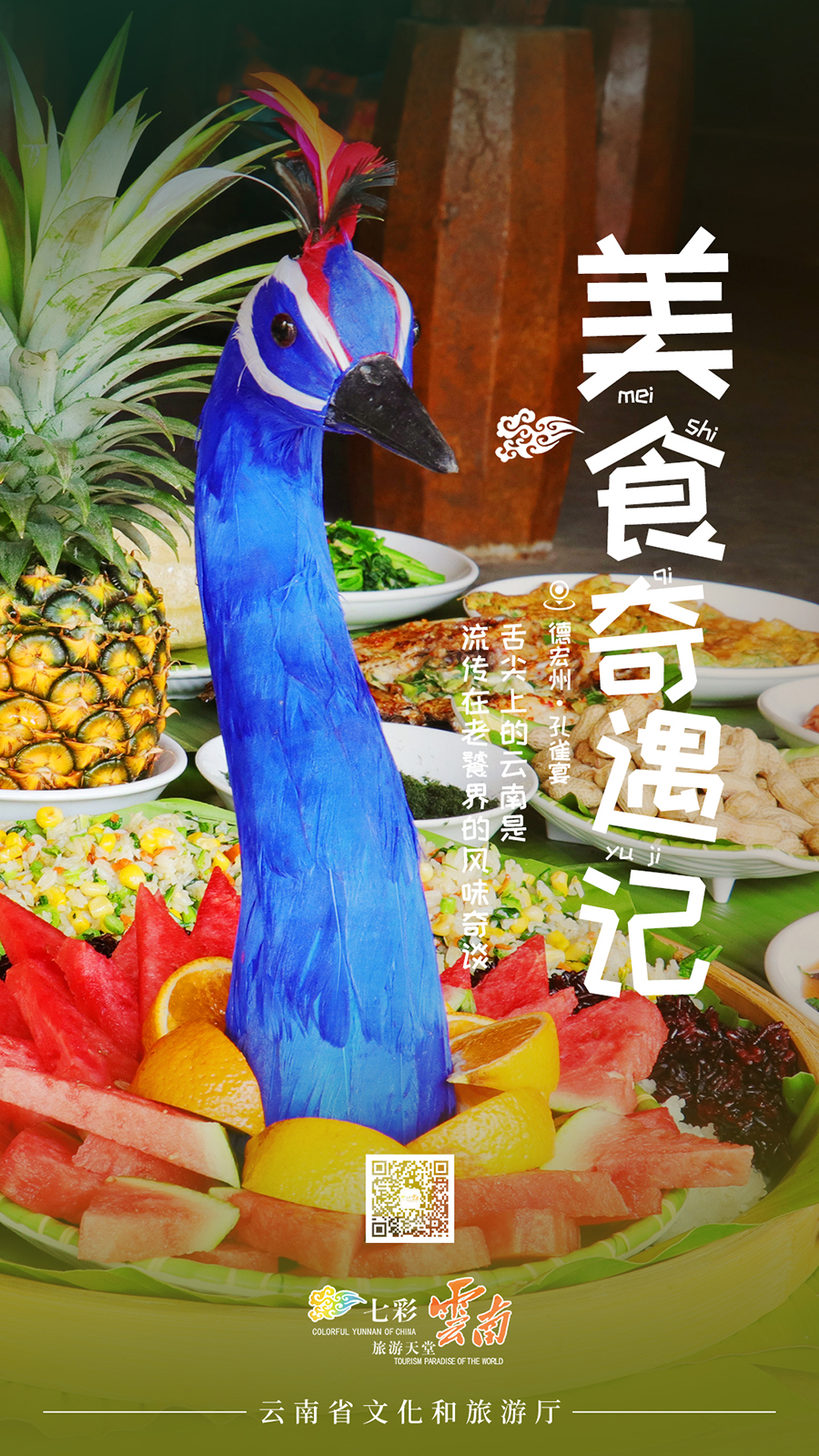 新华网云南频道