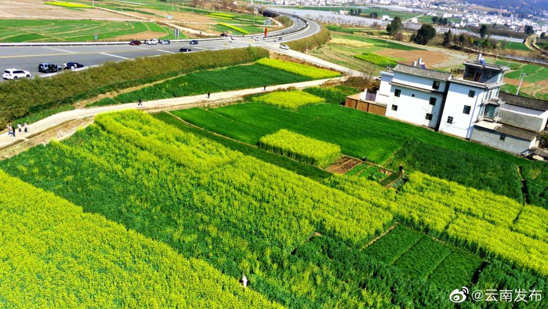 “云南发布”微博