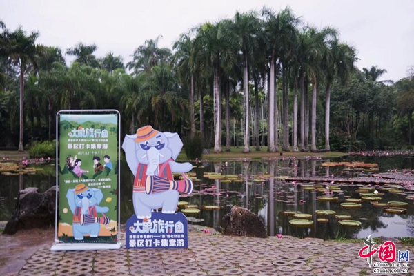新华网云南频道