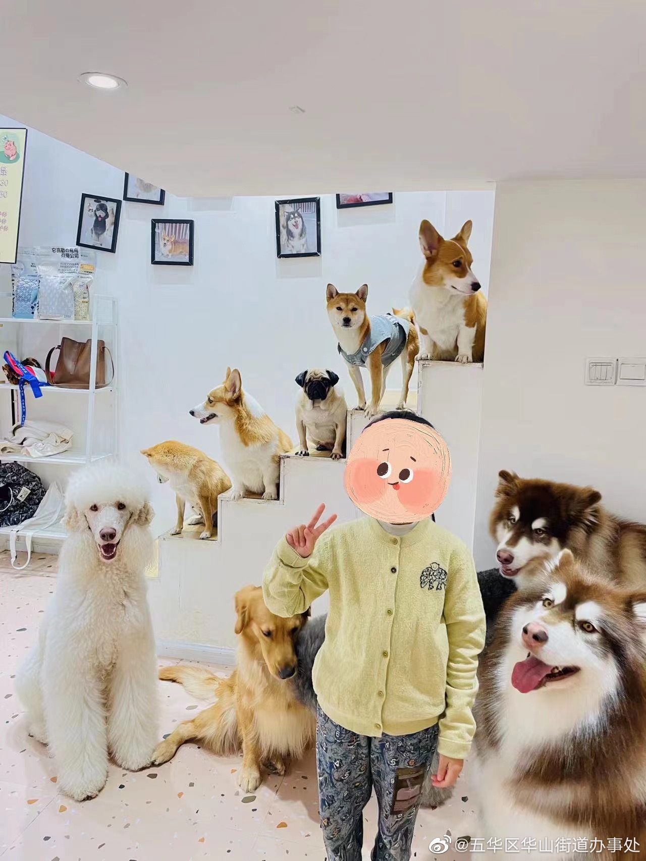 五华区华山街道办事处