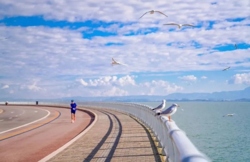 昆明市文化和旅游局