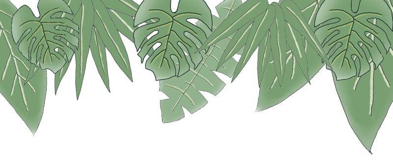 保山新闻网
