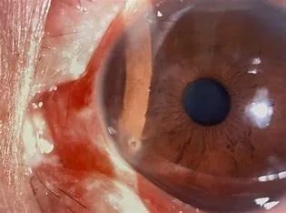 云南省中医医院