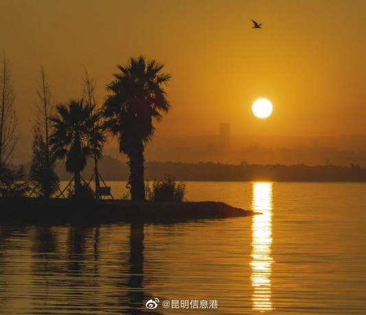 昆明信息港（微博）