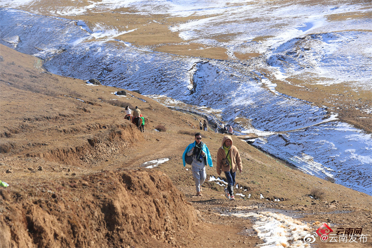 “云南发布”微博