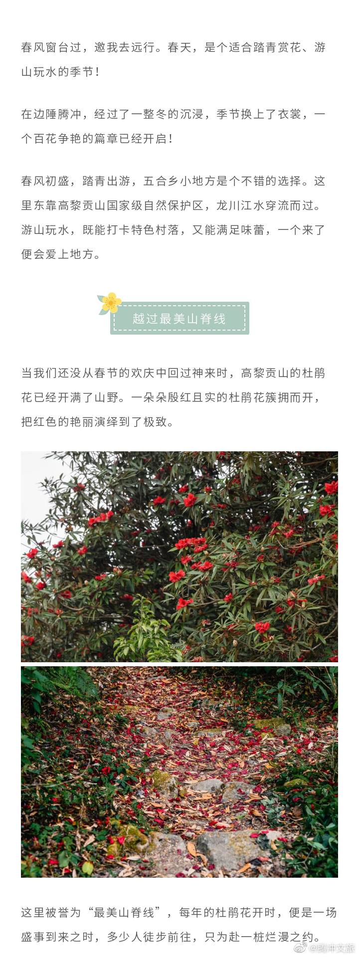 腾冲文旅微博