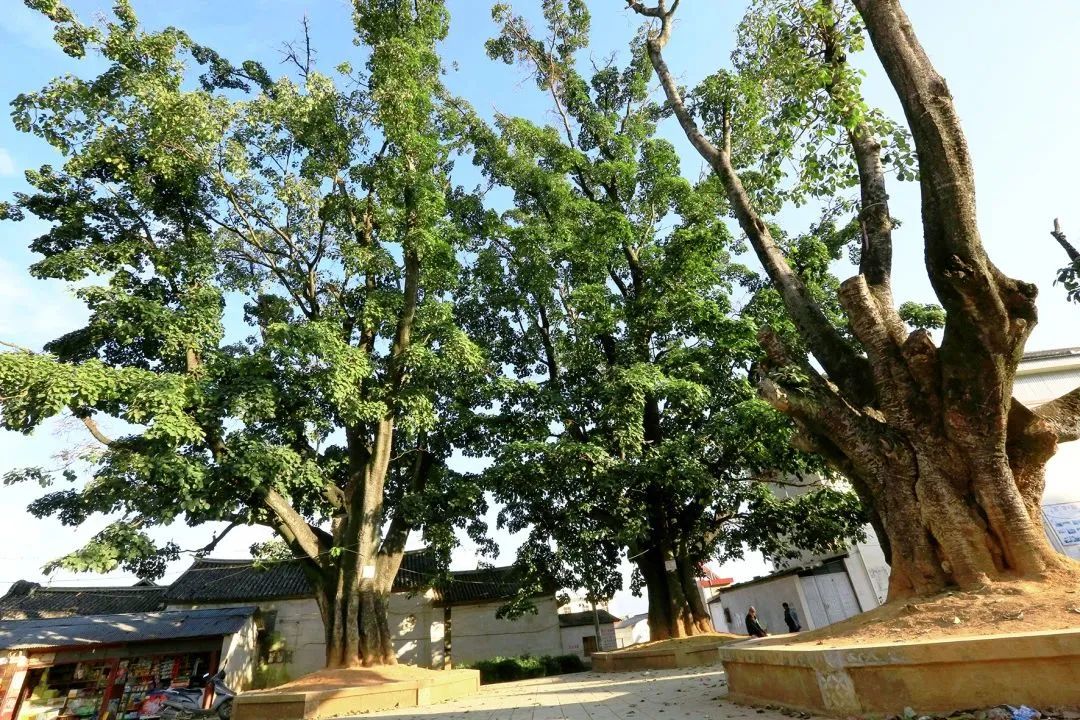 保山新闻网