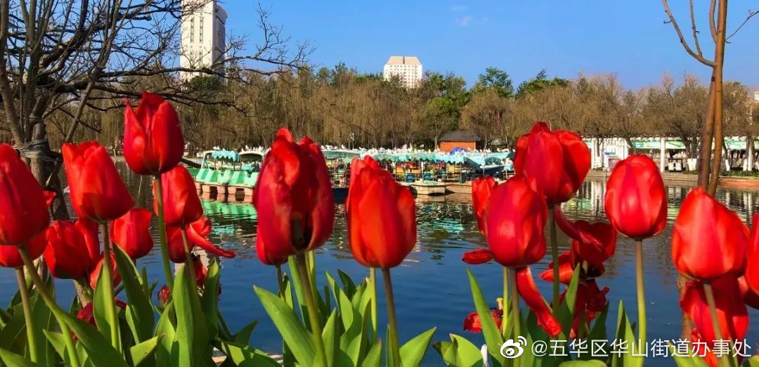 五华区华山街道办事处