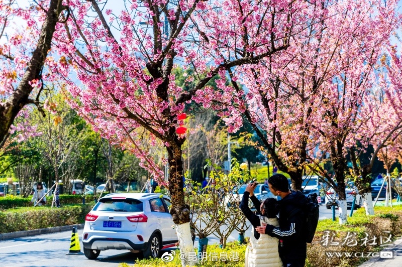 昆明信息港（微博）