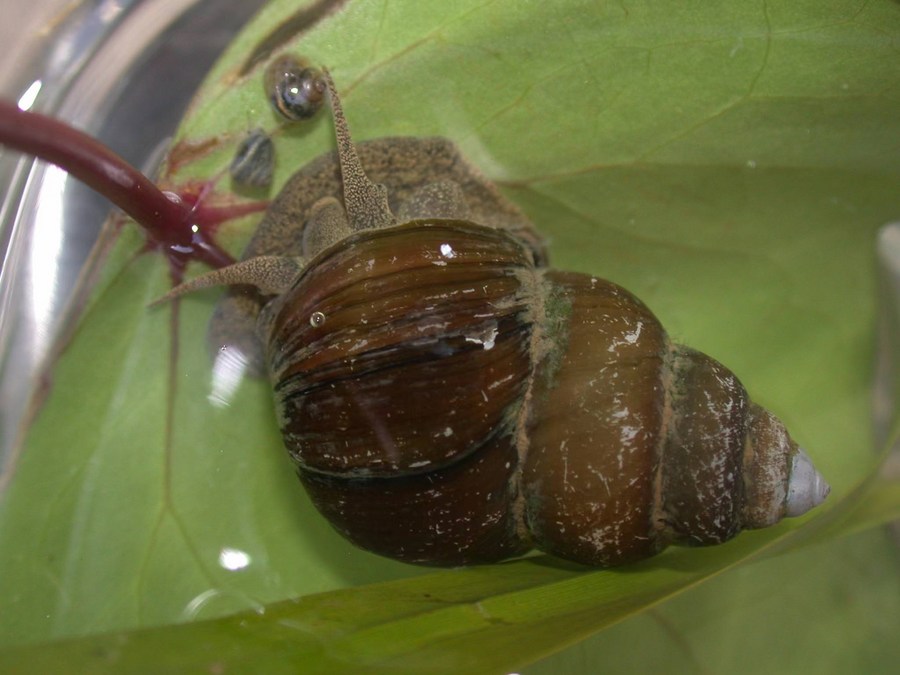 云南省文化和旅游厅