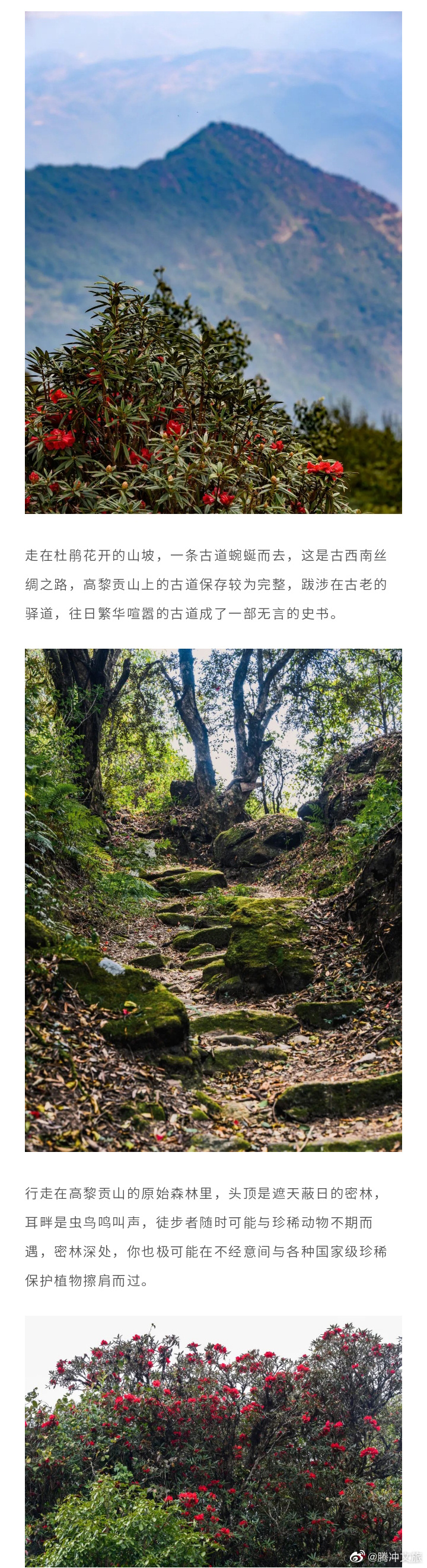 腾冲文旅微博