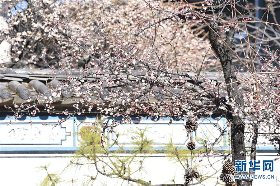 云南省文化和旅游厅