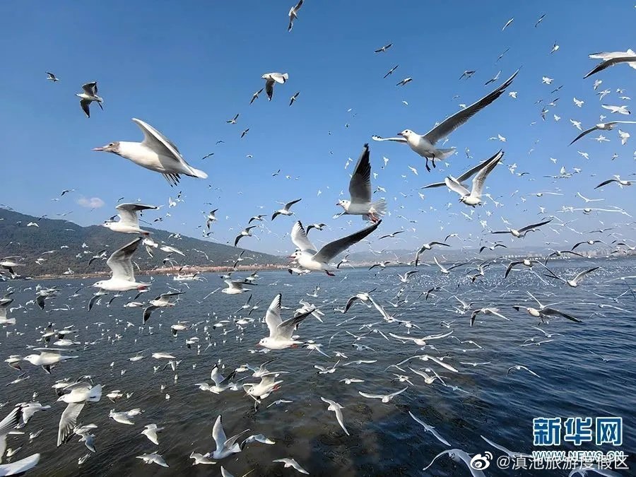 滇池旅游度假区