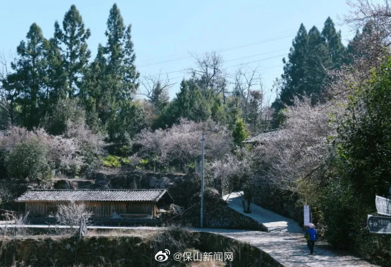 冬游保山，有你更美 | 假期没嗨够？来这接着奏乐接着舞
