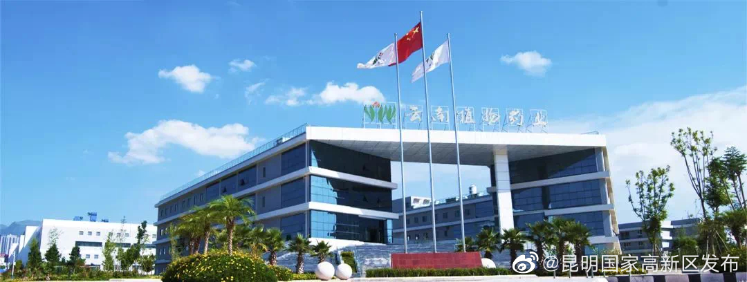 云南植物药业的故事