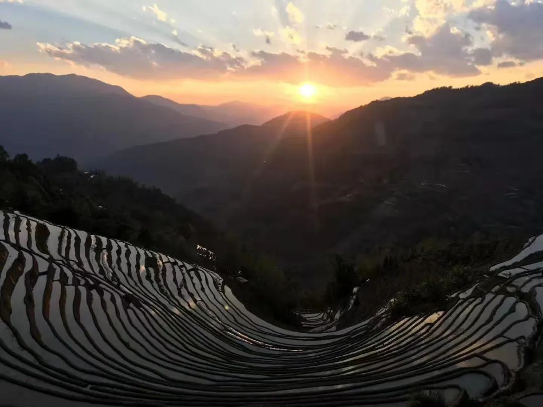 云南省文化和旅游厅