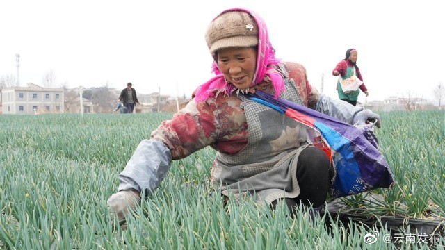 “云南发布”微博