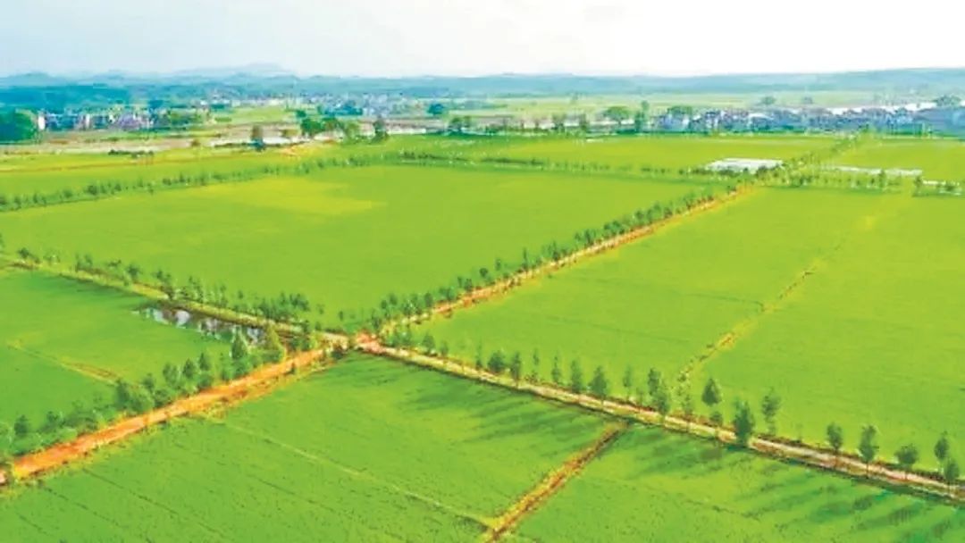 昆明市农业农村局