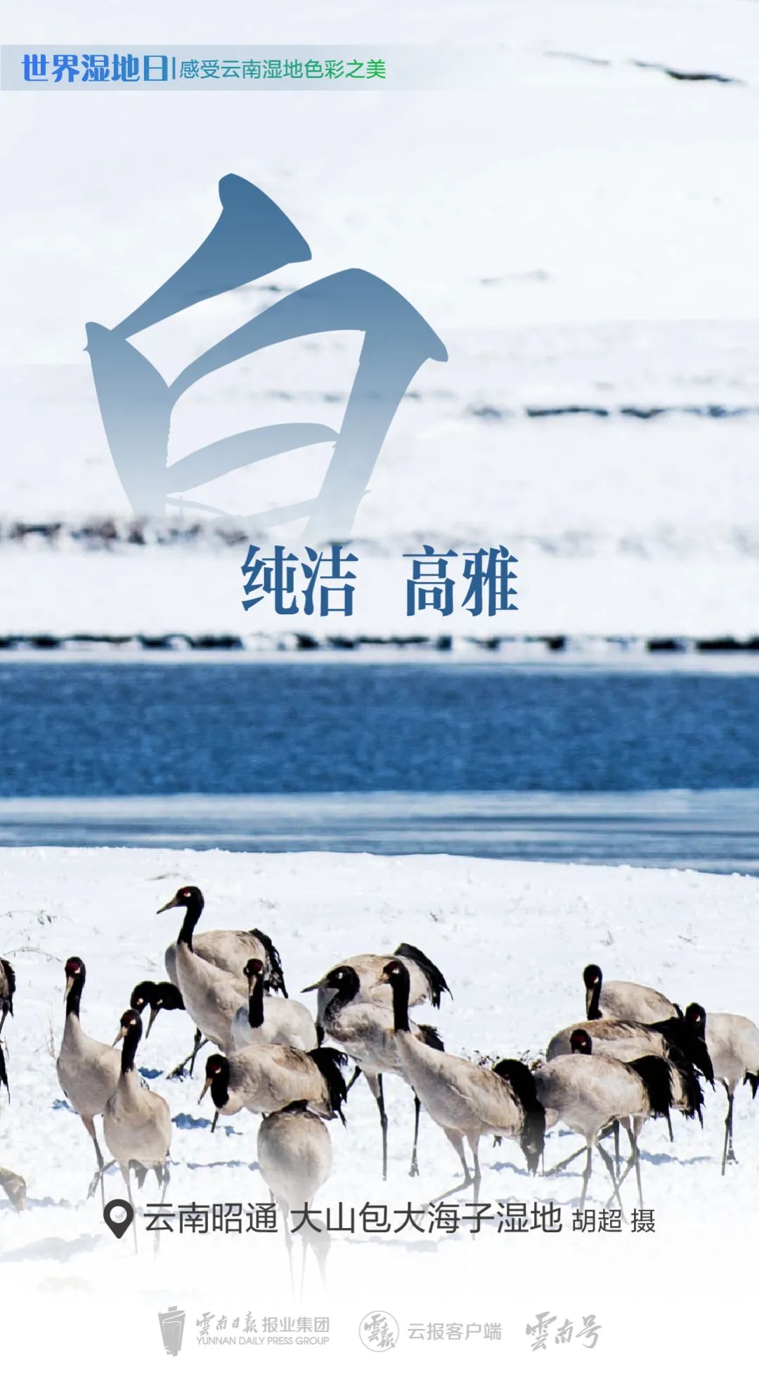 红河日报