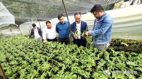 保山广播电视台