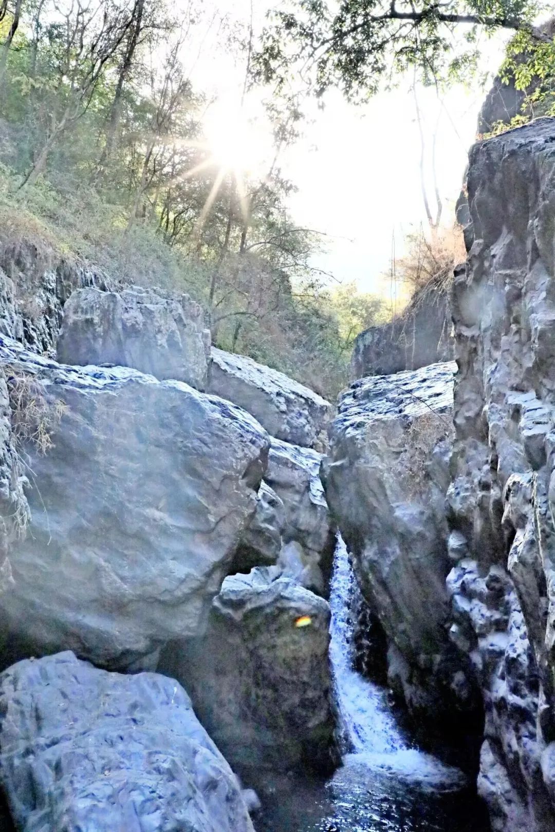 云南省文化和旅游厅