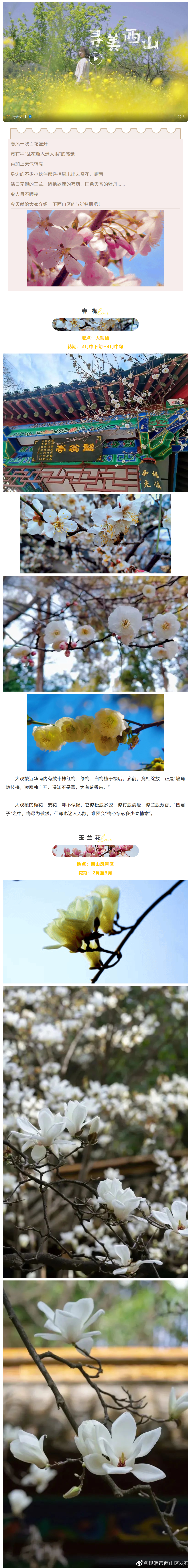 昆明市西山区发布