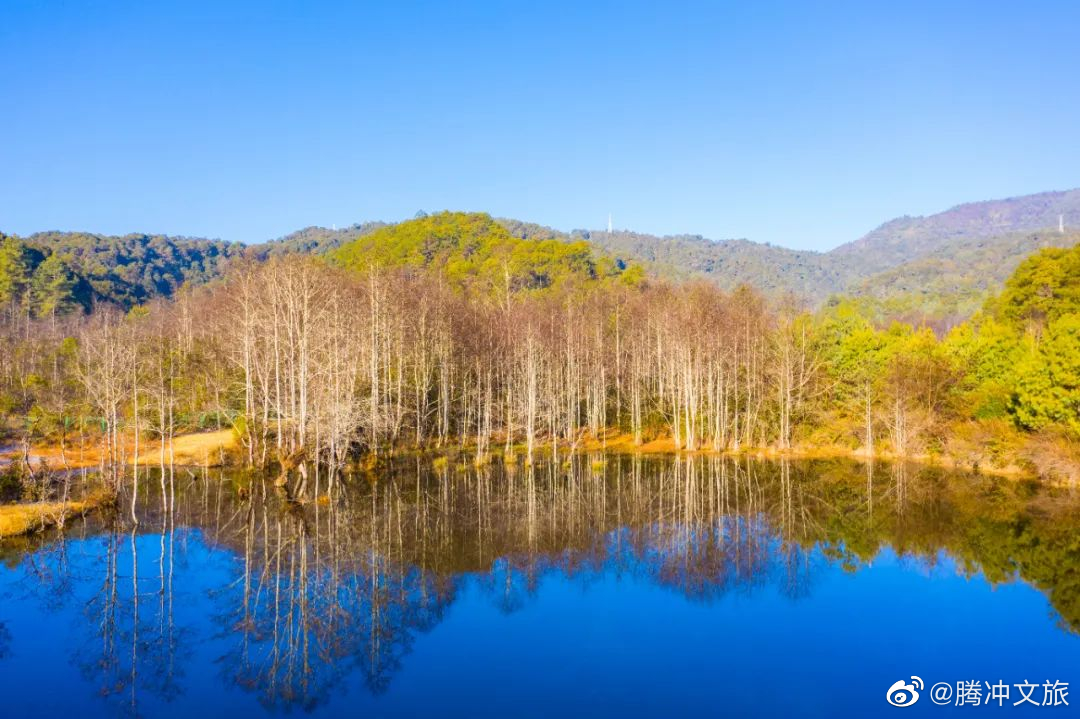 腾冲文旅微博