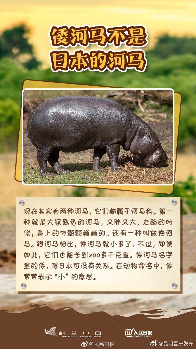 昆明晋宁发布